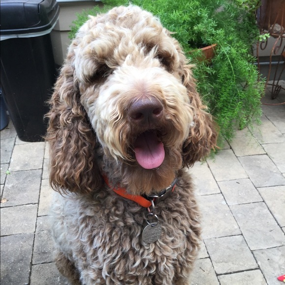 Meet your Posher, Mike - Picture 5 of 7